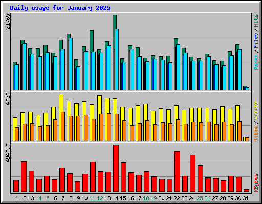 Daily usage for January 2025