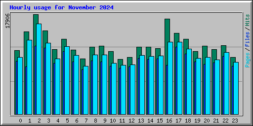 Hourly usage for November 2024