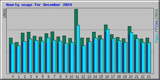 Hourly usage for December 2024