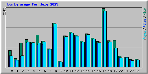 Hourly usage for July 2025