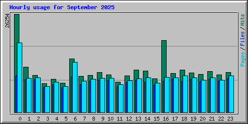 Hourly usage for September 2025