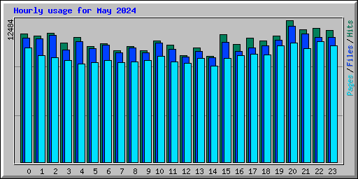 Hourly usage for May 2024