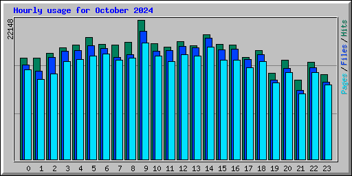 Hourly usage for October 2024