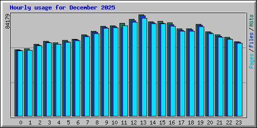 Hourly usage for December 2025