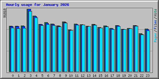 Hourly usage for January 2026