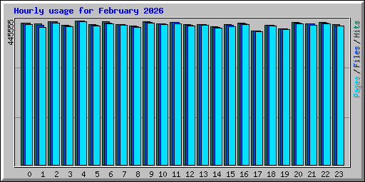 Hourly usage for February 2026